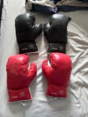 Pair of Boxing Gloves in Red and Black - 14 OZ
